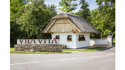 Einfahrt mit schliffgedecktem Haus  VILA VITA Pannonia