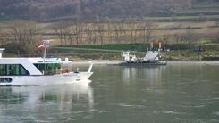 Donaufähre überquert die Donau.