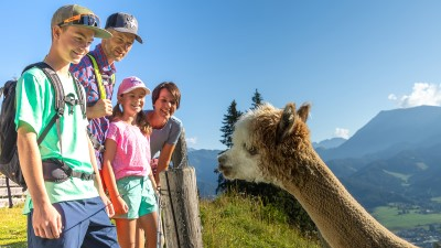 Der wilde Berg Mautern Thomas Kovacsics