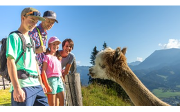 Der wilde Berg Mautern Thomas Kovacsics