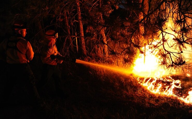 Waldbrand (RMS) Waldbrand (RMS)