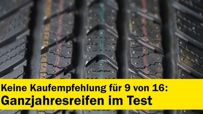 Ganzjahresreifentest