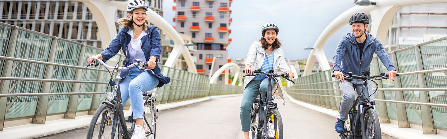 Lastenfahrräder - Verkehrsmittel für den Alltag und Gütertransport