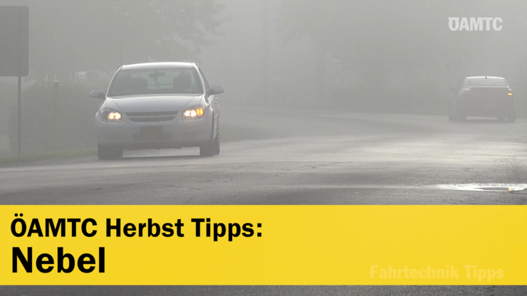 Platzhalter Platzhalter