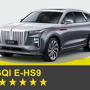 Fahrzeug Hongqi E-HS9