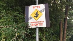 Selbstgemachtes Warnschild Krötenwanderung