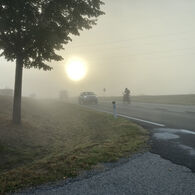Das Foto zeigt eine neblige Straße und eine tiefstehende Sonne. 
