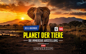 Immersium Planet der Tiere