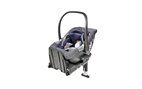 KiSi 2019-F - Inglesina Darwin i-Size + Base KiSi 2019-F - Inglesina Darwin i-Size + Base
