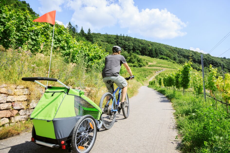 Fahrrad mit Anhnger - Welche Vorschriften gelten | AMTC