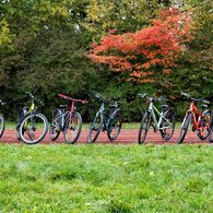 Bild aller getesteten Fahrräder nebeneinander aufgereiht