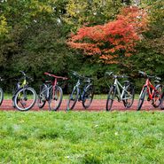 Bild aller getesteten Fahrräder nebeneinander aufgereiht