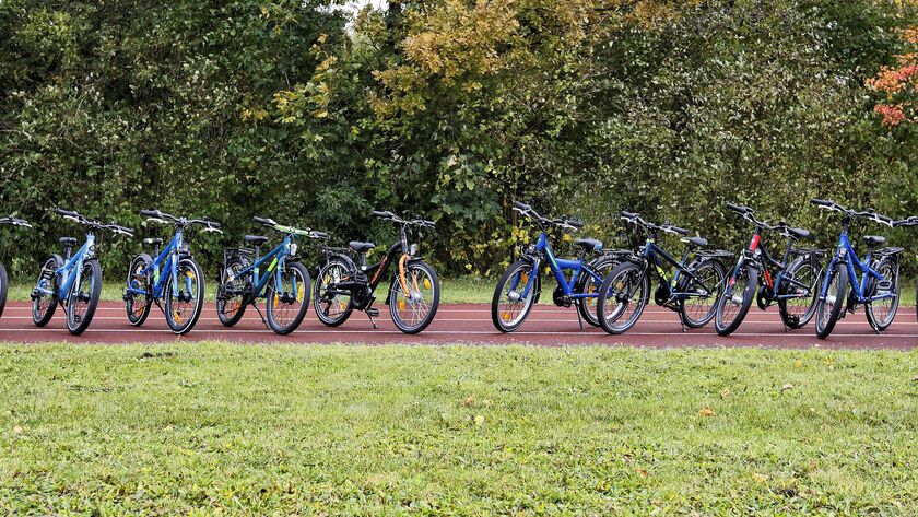 12 Kinderfahrräder mit  20 Zoll Felgengröße stehen auf einem Weg im Park aufgereiht.