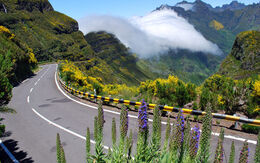Madeira