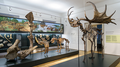 Naturkundemuseum