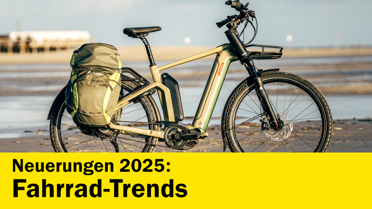 Platzhalter Platzhalter