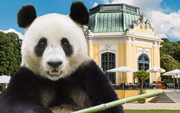 Tiergarten Schönbrunn