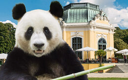 Tiergarten Schönbrunn