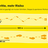 Grafik