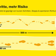 Grafik