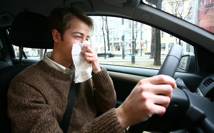 Allergie im Auto