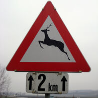 Verkehrszeichen Wildwechsel
