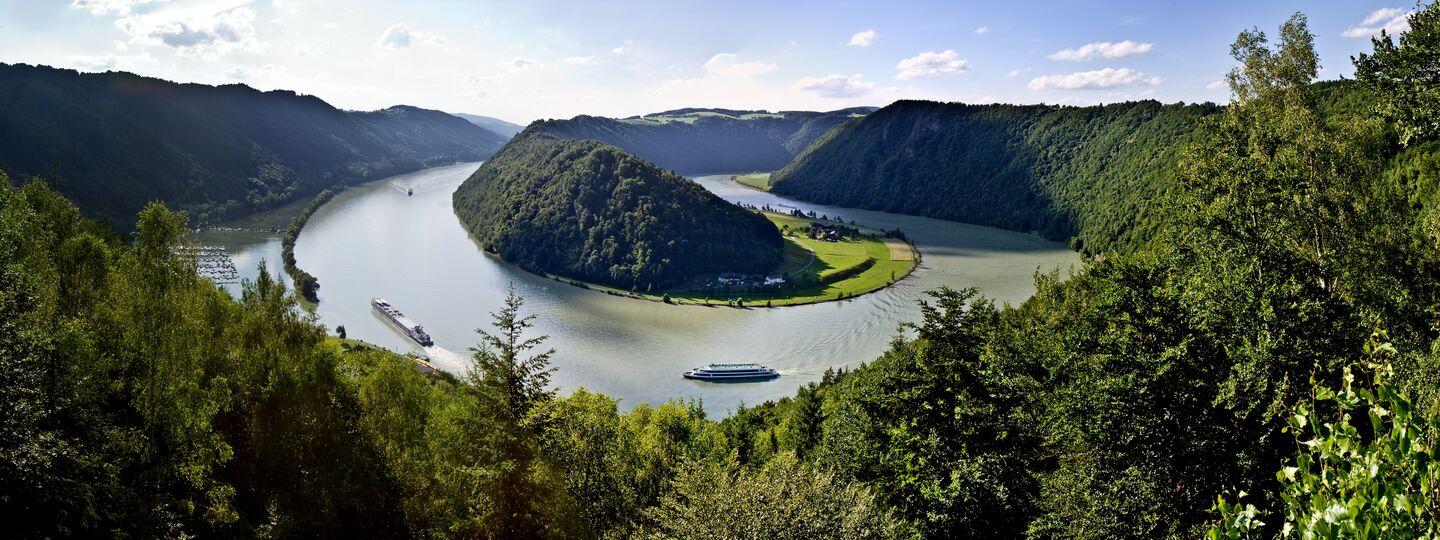 Blick auf die Schlögener Donauschlinge in Oberösterreich mit spektakulärer Flussschleife inmitten grüner Hügellandschaft