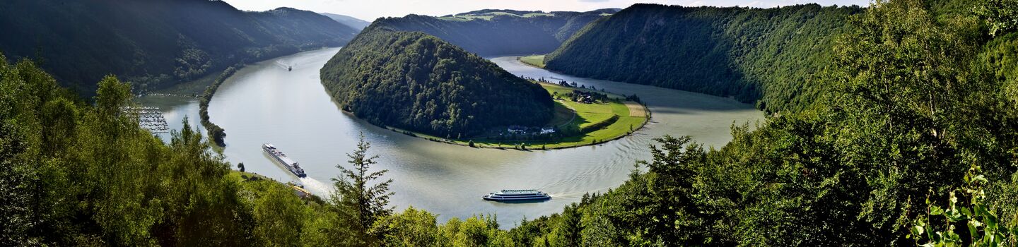 Blick auf die Schlögener Donauschlinge in Oberösterreich mit spektakulärer Flussschleife inmitten grüner Hügellandschaft