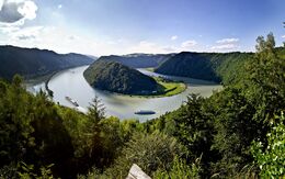 Blick auf die Schlögener Donauschlinge in Oberösterreich mit spektakulärer Flussschleife inmitten grüner Hügellandschaft