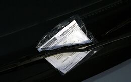 Organstrafverfügung