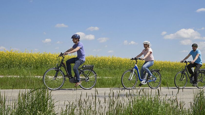 Drei Radfahrer:innen auf einem Weg im Sommer auf Pedelecs und E-Bikes vor einem blühenden Rapsfeld.