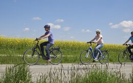 Drei Radfahrer:innen auf einem Weg im Sommer auf Pedelecs und E-Bikes vor einem blühenden Rapsfeld.