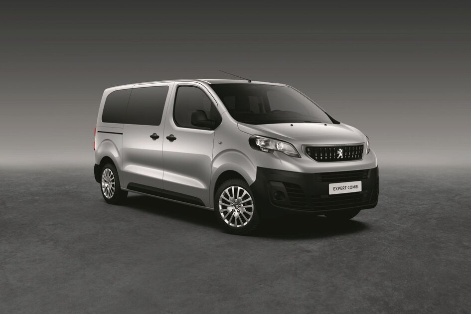 Peugeot Traveller Probleme