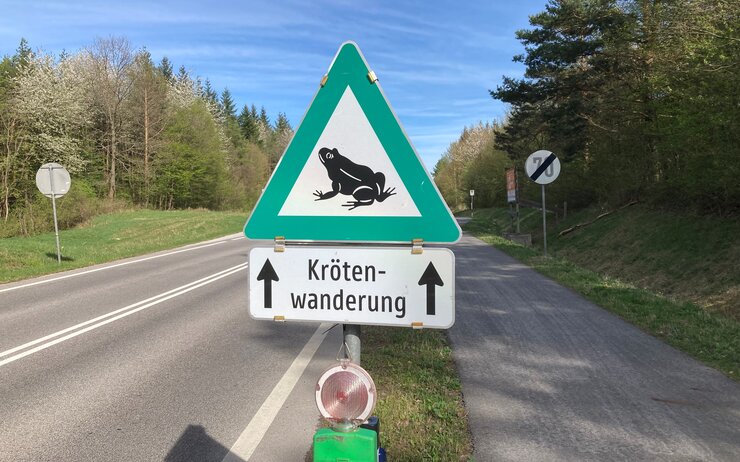 Dreieckiges Verkehrsschild mit grünem Rand und Frosch in der Mitte auf weißem Untergrund