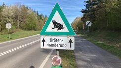 Dreieckiges Verkehrsschild mit grünem Rand und Frosch in der Mitte auf weißem Untergrund