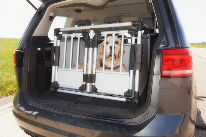 ÖAMTC-Test zeigt: Sicherer Transport von Hunden unerlässlich