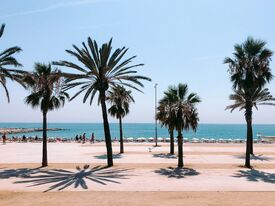 Palmen werfen lange Schatten auf eine sonnige mediterrane Promenade, wo Strandbesucher, Sonnenschirme und das türkisfarbene Meer eine entspannte Szenerie am Meer bilden.