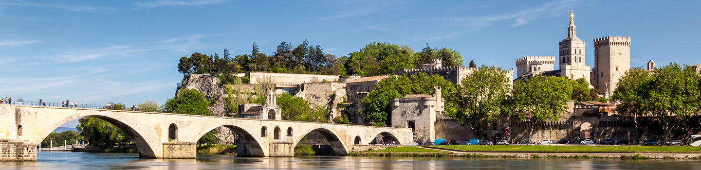 Panoramablick auf die Brücke von Avignon und die Kathedrale Notre-Dame-des-Doms (Frankreich) mit der Rhône im Vordergrund