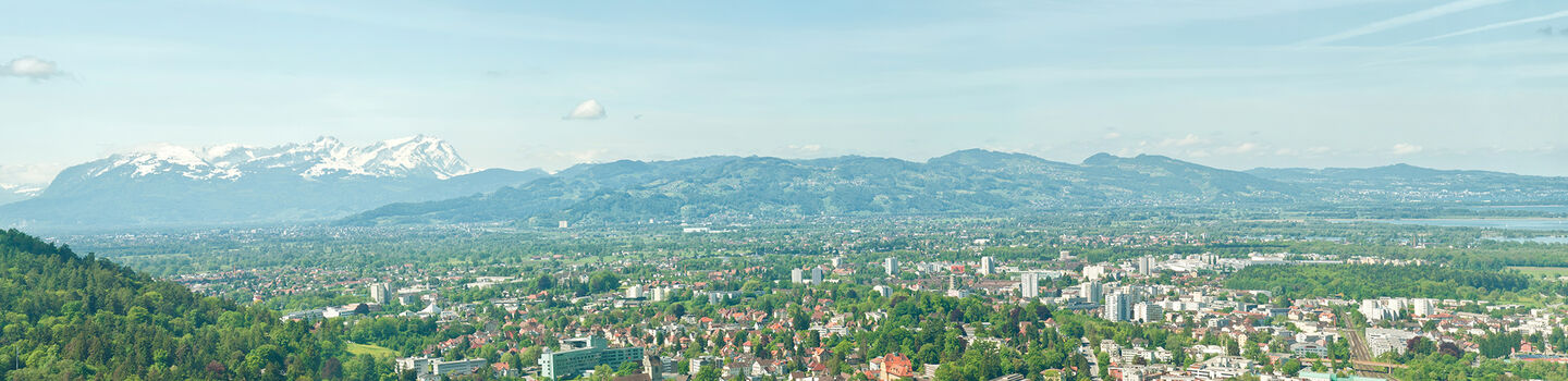 Mit Blick auf Bregenz entfaltet sich ein beeindruckendes Panorama, in dem die Stadt von den saftig grünen Berglandschaften des Sommers eingerahmt wird.