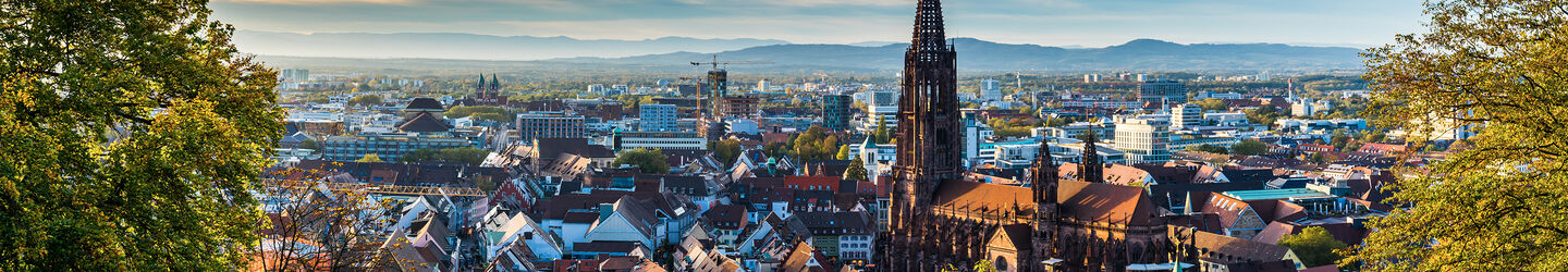 Blick auf Freiburg im Breisgau iStock.com / Simon Dux