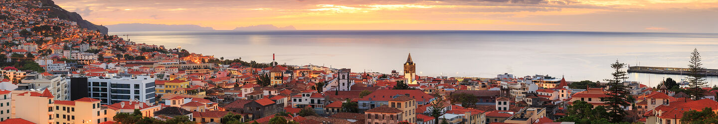 Blick auf Funchal iStock.com / dennisvdw