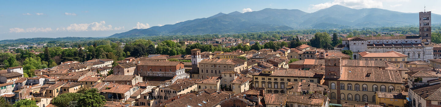 Eine malerische Luftaufnahme von Lucca im Sommer, mit den roten Dächern der Stadt und dem markanten Turm, der sich stolz über die Szenerie erhebt.