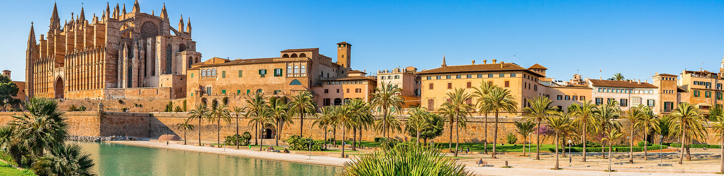 Im Vordergrund der Kathedrale von Palma de Mallorca zieht sich der Fluss entlang, während Palmen der Szene ein tropisches Flair verleihen und einen malerischen Kontrast zum gotischen Bauwerk bieten.
