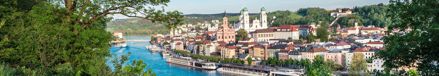 Blick auf Passau iStock.com / Animaflora