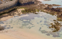 Luftaufnahme der Stadt Saint-Malo (Bretagne, Frankreich) mit der Strand und dem Ozean im Hintergrund