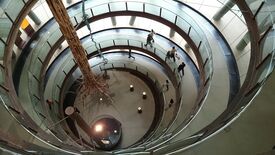 Ansicht von oben auf ein modernes, kreisförmiges Atrium mit spiralförmigen Glasstegen, einem hohen Baumstamm und mehreren Personen; der Raum wirkt ruhig und luftig.