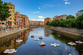 Farbenfrohe, schwimmende Blumenskulpturen schmücken einen ruhigen Stadtkanal in Girona und spiegeln Wohnhäuser, grüne Bäume sowie einen strahlend blauen Himmel in einer friedlichen Szene wider.
