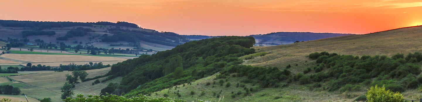 Panoramablick auf die Weinberge in Burgund im warmen Licht des Sonnenuntergangs, eine malerische Landschaft voller Charme