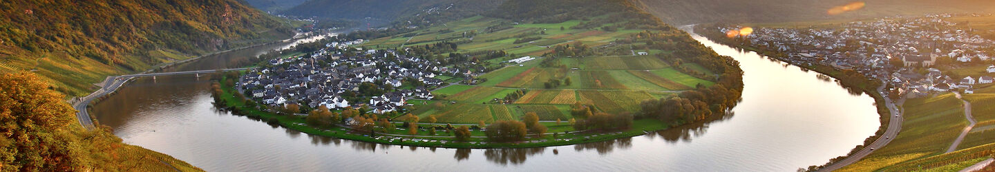 Farbenfroher Herbst an der Mosel iStock.com / Mark22