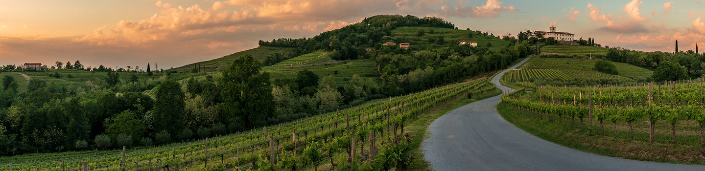 Stürmischer Sonnenuntergang in den Weinbergen von Collio Friulano, Friaul-Julisch Venetien.